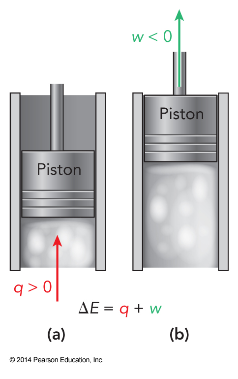 Heat enters the gas in a cylinder so the sign of the q is positive. The heated gas expands, pushing a piston upwards so the sign of the work done is negative.